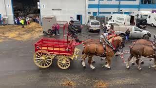 Team of 4 Heavy horse turnouts Royal Highland Show 2024 [upl. by Gabler]