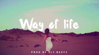 WAY of LIFE  Afro beat Instrumental  Type 4Keus x Keblack x Naza  by SlyBeatz [upl. by Nnewg]