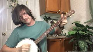 Blackberry Blossom Tune  Clawhammer Banjo [upl. by Wendin556]