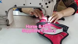 Horse amp Dog Suppliers Factory flymasks PetLeashes PetCollars [upl. by Chamberlain459]