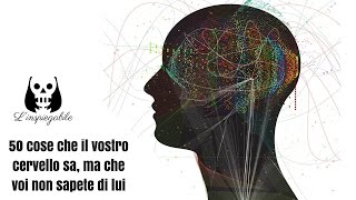 50 COSE che IL VOSTRO CERVELLO sa MA che VOI NON SAPETE DI lui [upl. by Lorena780]