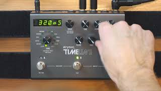 Why the Strymon Timeline Looper is so cool [upl. by Lleynad]