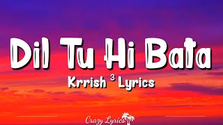 quotDil Tu Hi Bataa Krrish SlowedReverbFull Song [upl. by Yssirk]