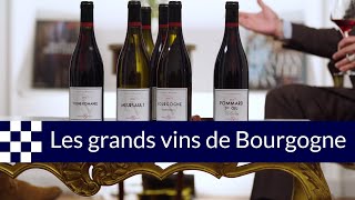 Les vins de Bourgogne un trésor national [upl. by Gibeon168]