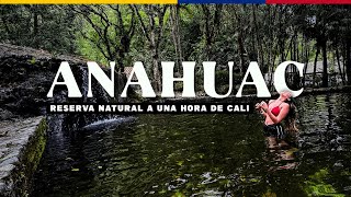 Reserva Natural ANAHUAC  Plan Económico a UNA HORA de Cali [upl. by Annawahs]