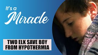 Two Elk Save Boy from Hypothermia  Its A Miracle [upl. by Nlycaj]