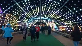 Christmas amp New Year lights jingle bells—life is beautiful Seneca SC [upl. by Liponis39]