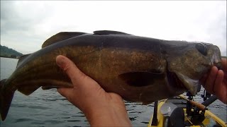 Kayak Fishing  Fishing Shallow Reefs with Lures  Combine Cast and Retrieve with Trolling [upl. by Zilevi]