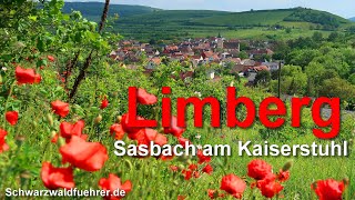 Limberg bei Sasbach am Kaiserstuhl [upl. by Nosredneh]