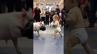 quotRumble in the Playpen Baby vs Piglet Showdownquot funny viralvideo shorts [upl. by Kironde]