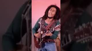 💚 💛 ❤️ Bob Marley amp The Wailers  Roots Rock Reggae 1976 [upl. by Aihsinat]