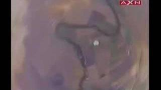 Skydiving Team Accident Caught on Tape [upl. by Westlund597]