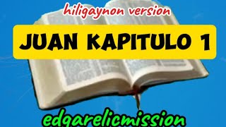 AUDIO BIBLE HILIGAYNON ILONGGO VERSION edgarelicmission [upl. by Eeldivad]