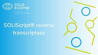 SOLIScript® reverse transcriptase [upl. by Enyak843]