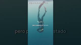 Esta es la clave para practicar apnea  Miguel Lozano apnea freediving deporte resistencia [upl. by Winfred522]