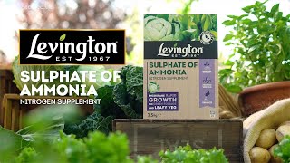 How to use Levington Sulphate of Ammonia nitrogen supplement for plants [upl. by Sair]