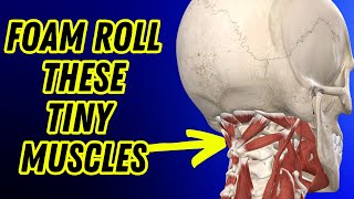 How to Foam Roll for Occipital and Back Muscle Relief  Relax amp Improve Your Posture [upl. by Chansoo]