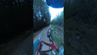 Riding fast in the woods biking mtbwhip steezy thankyou og ogsquad [upl. by Nesilla282]