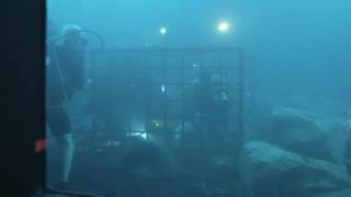 Behind the Scenes  47 Meters Down 1080p 2017 Hd [upl. by Amabel255]