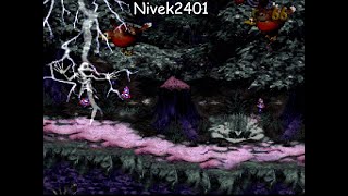 Donkey Kong Country 3  World 7  Level 1 2 amp 3 [upl. by Nnaid85]