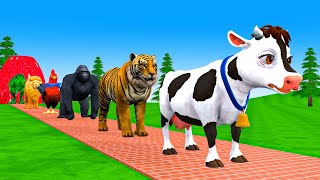 Paint amp Animals CowTigerdinosaurLionElephant Fountain Crossing Transformation Animal Cartoon [upl. by Jit]