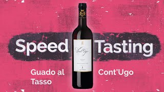 Vier Flaschen Speedtasting Cont Ugo  ein Merlot der Extraklasse [upl. by Candide204]