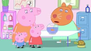 Peppa Pig  Goldie the Fish 23 episode  3 season HD [upl. by Llibyc]