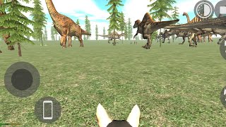 Jungle me Big Animals 🥰 And Big Kangaroo 🦘 All Animals Zoo 🥰 Big Animals 🥰 [upl. by Epilihp]