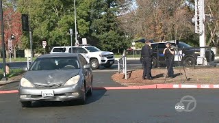 2 dogs 1 pedestrian dead after being hit by separate cars in Rohnert Park police say [upl. by Refinnaj436]