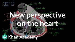 New perspective on the heart  Circulatory system physiology  NCLEXRN  Khan Academy [upl. by Hylton]