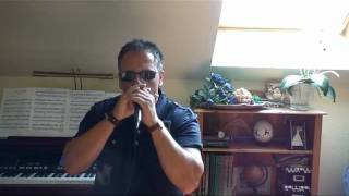 Tougher Than The Rest  Bruce Springsteen Full harmonica cover [upl. by Eselahc]