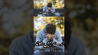 Guzary Ni Hondy Slowed Reverb  Mushtaq Ahmed Cheena  Saraiki Song  New Latest Saraiki Song 2024 [upl. by Ymme]