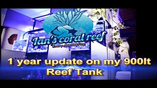 1 Year update on my Aquariums4Life 900 litre reef tank [upl. by Hauger714]