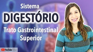 Sistema Digestório 25  Trato Gastrointestinal Boca Faringe Esôfago e Estômago [upl. by Fransen987]