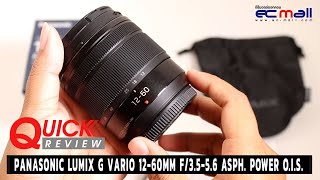 Quick Review  Panasonic Lumix G Vario 1260mm f3556 ASPH POWER OIS [upl. by Nic869]