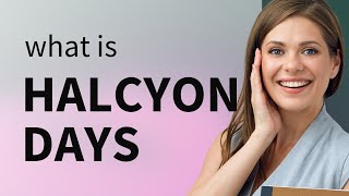 Understanding quotHalcyon Daysquot [upl. by Ahsienel]