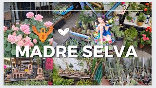 mercado de plantas Madreselva🪴 xochimilco  recorrido [upl. by Margi]