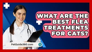 What Are the Best Flea Treatments for Cats  PetGuide360com [upl. by Llewkcor]