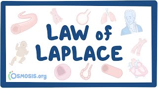 Law of Laplace [upl. by Rachael]