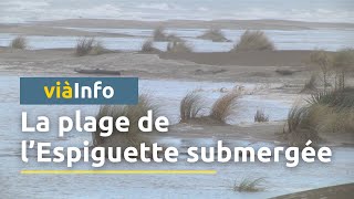 La plage de lEspiguette disparaît sous les flots [upl. by Liborio]