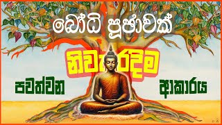 නිවැරදිව බෝධි පූජාවක් පවත්වන ආකාරය  How to Perform a Bodhi Pooja Properly  Bodi Puja  Bodhi Pujaw [upl. by Miculek850]