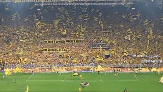 Youll never walk alone  Borussia Dortmund vs 1 FC Köln  19082023  Stadionatmosphäre [upl. by Esyak]