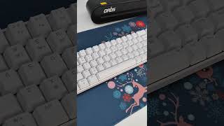 Portronics Hydra 10  gamingkeyboard gamingpcbuild [upl. by Nennarb]