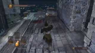 DARK SOULS 2  ALL Dual Wielded Weapons and Move Sets [upl. by Eilerua276]