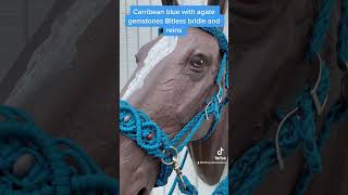 Carribean blue bitless bridle and reins bitless bitlessbridle horsegirl equestriangirl [upl. by Schiffman]