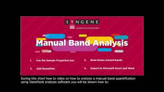 GeneTools How To Video Manual Band Quantification [upl. by Heywood157]