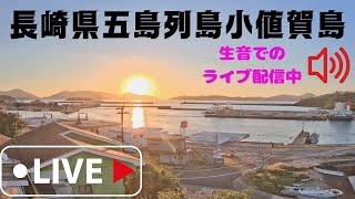 長崎県五島列島音声付きライブカメラ、Japan Live camera【LIVE CAMERA】癒しの空間、小値賀島からライブ配信中！ 船の汽笛、自然の音が聴けるように生音での配信（ [upl. by Anyad416]