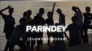 PARINDEY  Slow and Reverb  Haryanvi song Official  SUMIT GOSWAMI  SANKY GOSWAMI  SONOTEK [upl. by Ahsimit]