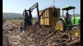 Matriarch ULTECO 5 Sugarcane Loader  Pongola South Africa [upl. by Kunkle460]