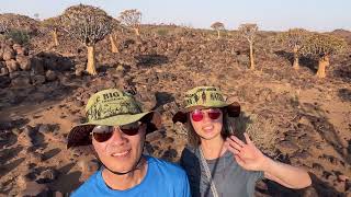 Quiver Tree Forest Namibia 🇳🇦 [upl. by Rbma]